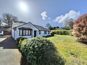 Photo 1- click for photo gallery